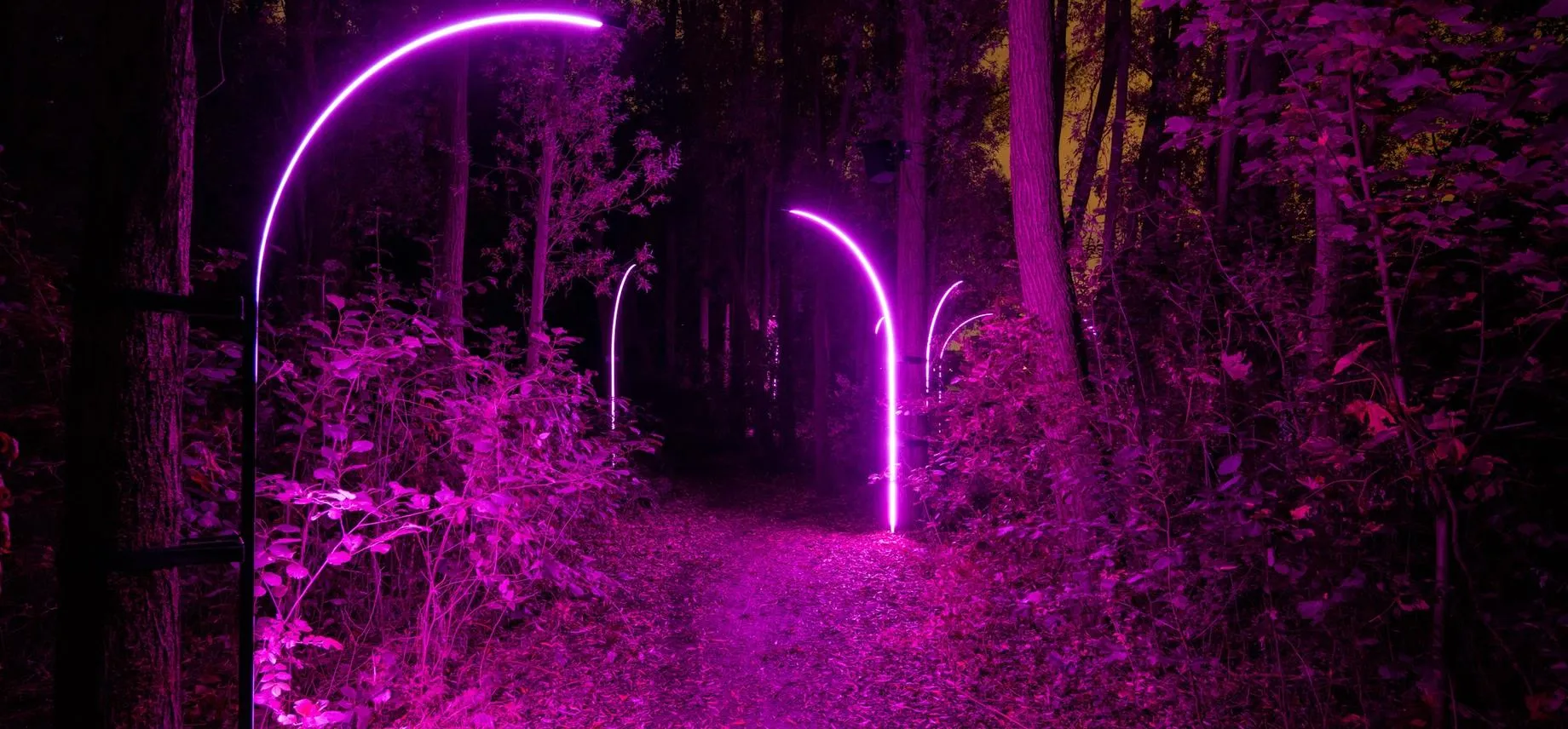 HYPER___NATURE