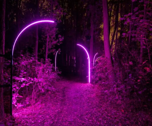 HYPER___NATURE