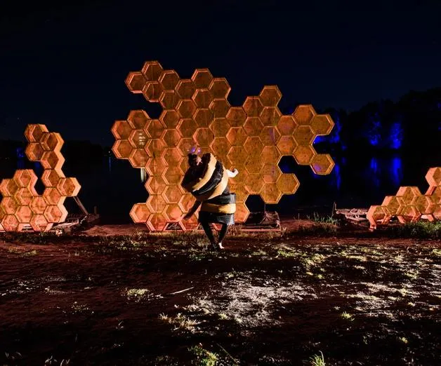 HIVE